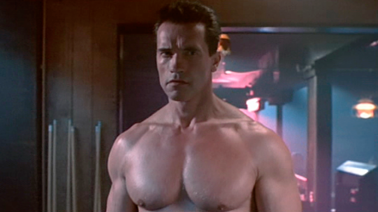 Arnold Schwarzenegger back in the Terminator